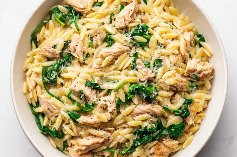 Chicken Orzo Recipe